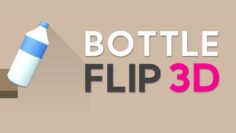 Bottle Flip 3D